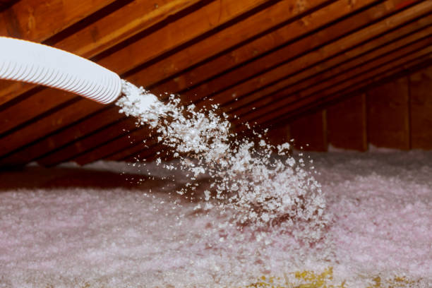 Best DIY Insulation Kits and Guidance in Colby, WI