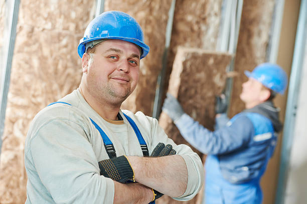 Best Eco-Friendly Insulation in Colby, WI